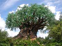 Animal Kingdom