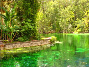 Silver Springs